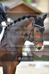 ref. photo 3661500