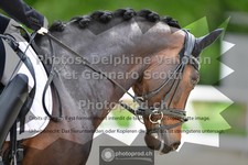 ref. photo 3661501
