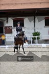 ref. photo 3661502