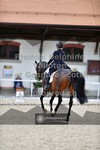 ref. photo 3661508