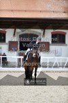 ref. photo 3661517