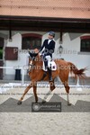 ref. photo 3661533