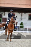 ref. photo 3661534