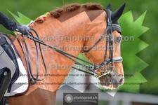 ref. photo 3661543