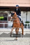 ref. photo 3661550