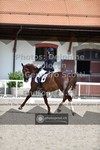 ref. photo 3661560