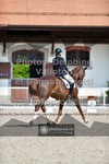 ref. photo 3661563