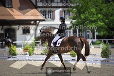 ref. photo 3661588