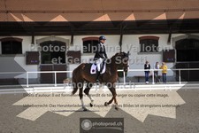 ref. photo 3661592