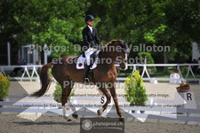 ref. photo 3661594