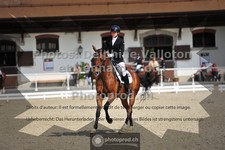 ref. photo 3661628