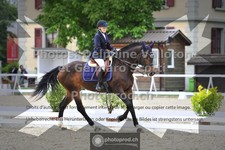 ref. photo 3661667