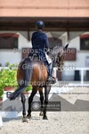 ref. photo 3661684