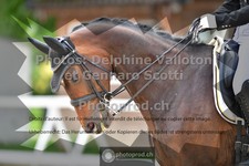 ref. photo 3661716