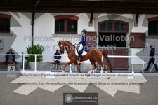 ref. photo 3661786