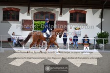 ref. photo 3661794
