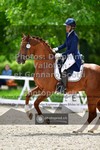 ref. photo 3661806