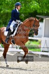 ref. photo 3661808