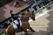 ref. photo 3661825