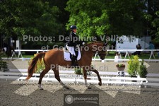 ref. photo 3661841