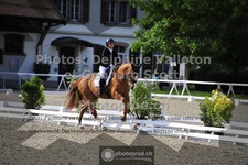 ref. photo 3661845