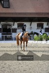 ref. photo 3661847