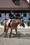 ref. photo 3661851