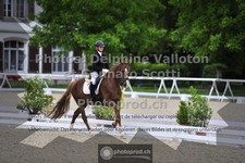 ref. photo 3661870