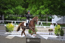 ref. photo 3661871