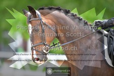 ref. photo 3661935