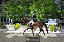 ref. photo 3661951