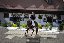 ref. photo 3661953