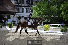 ref. photo 3661956
