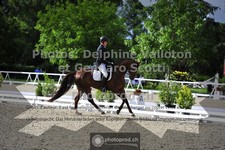 ref. photo 3661957