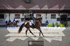 ref. photo 3661959