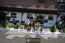 ref. photo 3661960