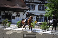 ref. photo 3661961