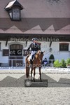 ref. photo 3661963