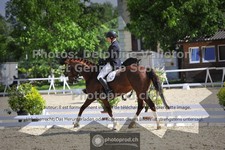 ref. photo 3661994