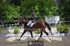 ref. photo 3662001