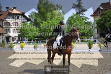 ref. photo 3662008