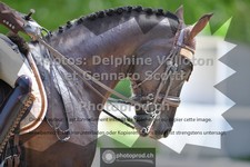 ref. photo 3662034