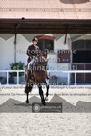 ref. photo 3662035