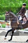ref. photo 3662038