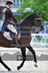 ref. photo 3662040
