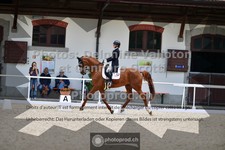 ref. photo 3662053