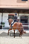 ref. photo 3662060