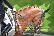 ref. photo 3662066