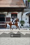 ref. photo 3662074
