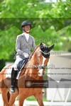 ref. photo 3662087